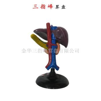 醫藥教學器材批發價格解析 義烏市場成行業風向標